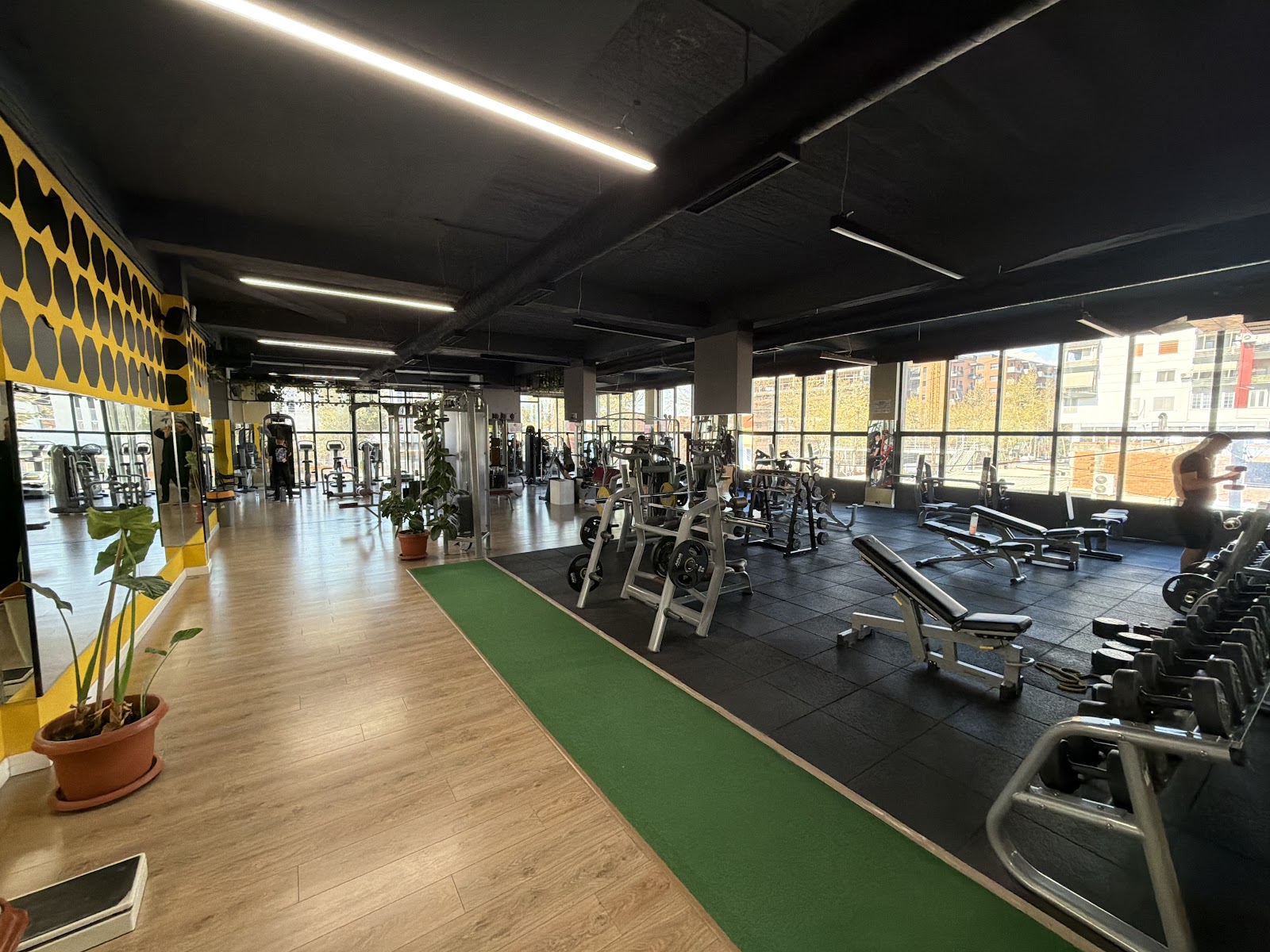My Fitness