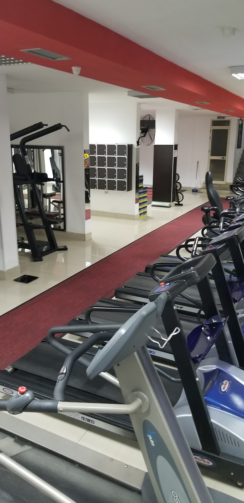 Fitness Perla