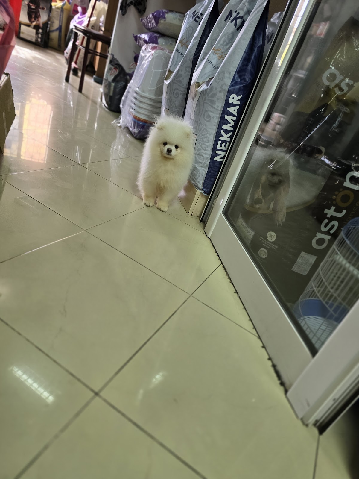 PETSHOP Ferma Golem (Kavajë)