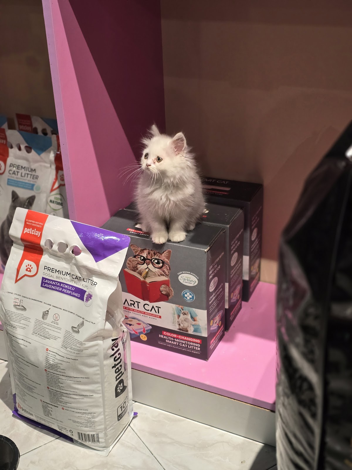 PETSHOP Ferma Golem (Kavajë)
