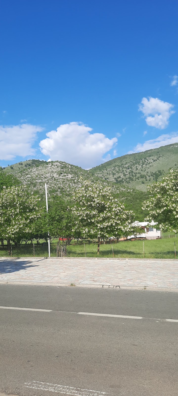 Koplik Qender
