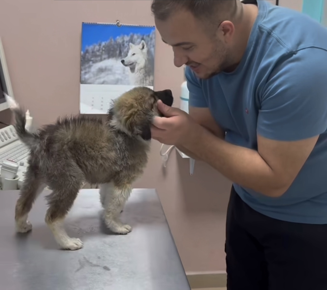Klinike Veterinare Eraldi