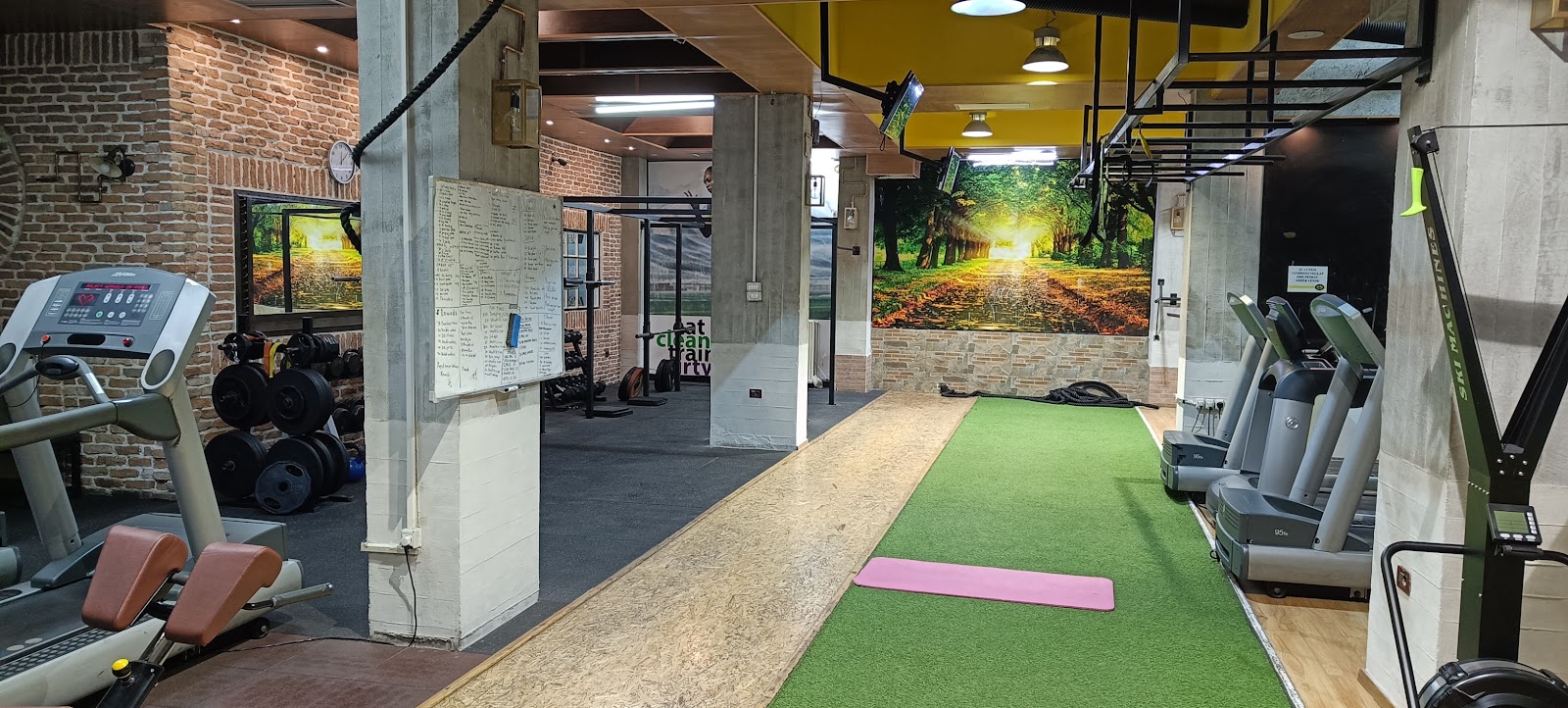 Arena Fitness