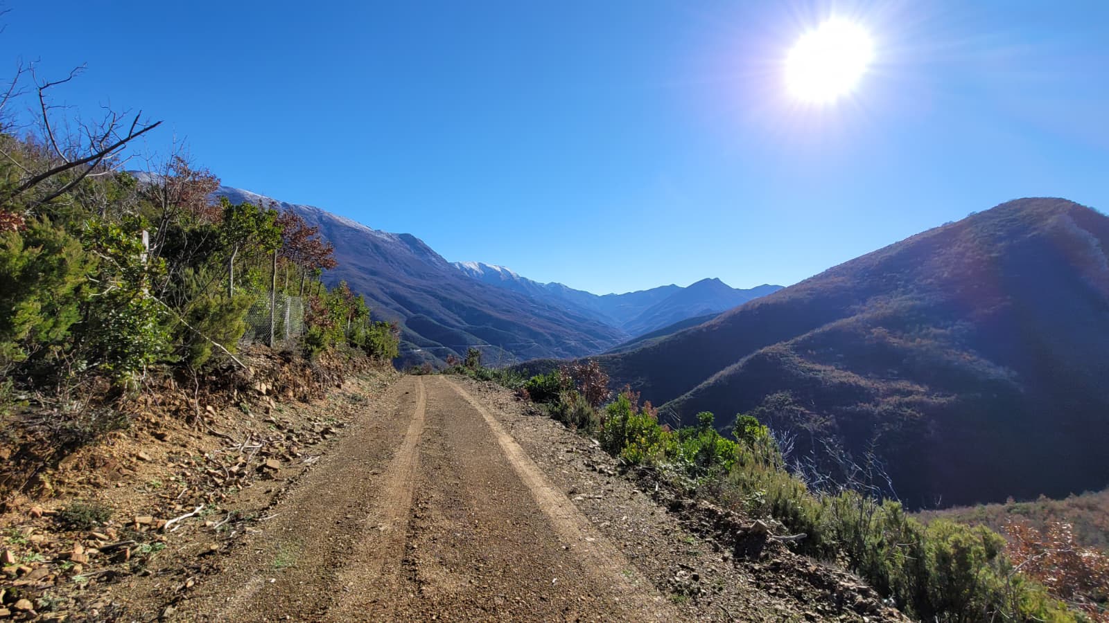 Guesthouse & Camping Te Lala