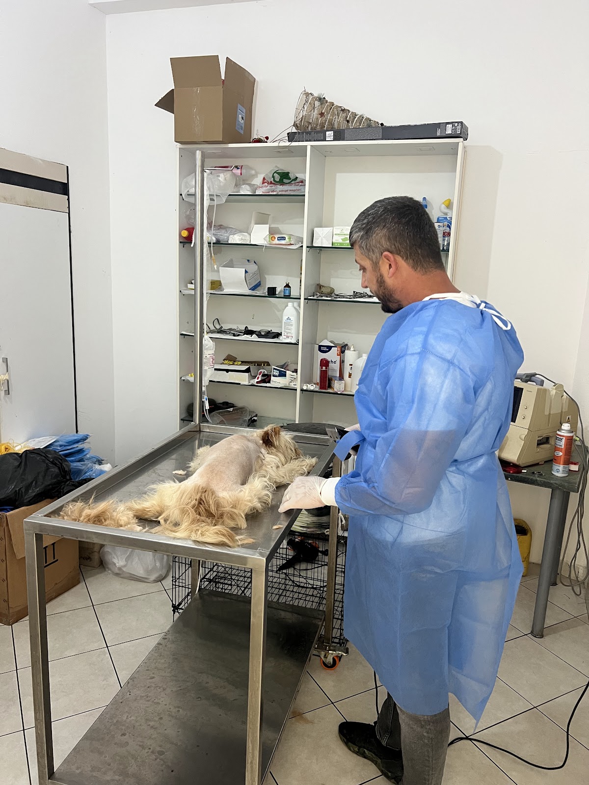 Farmaci & Klinike veterinare Vets+