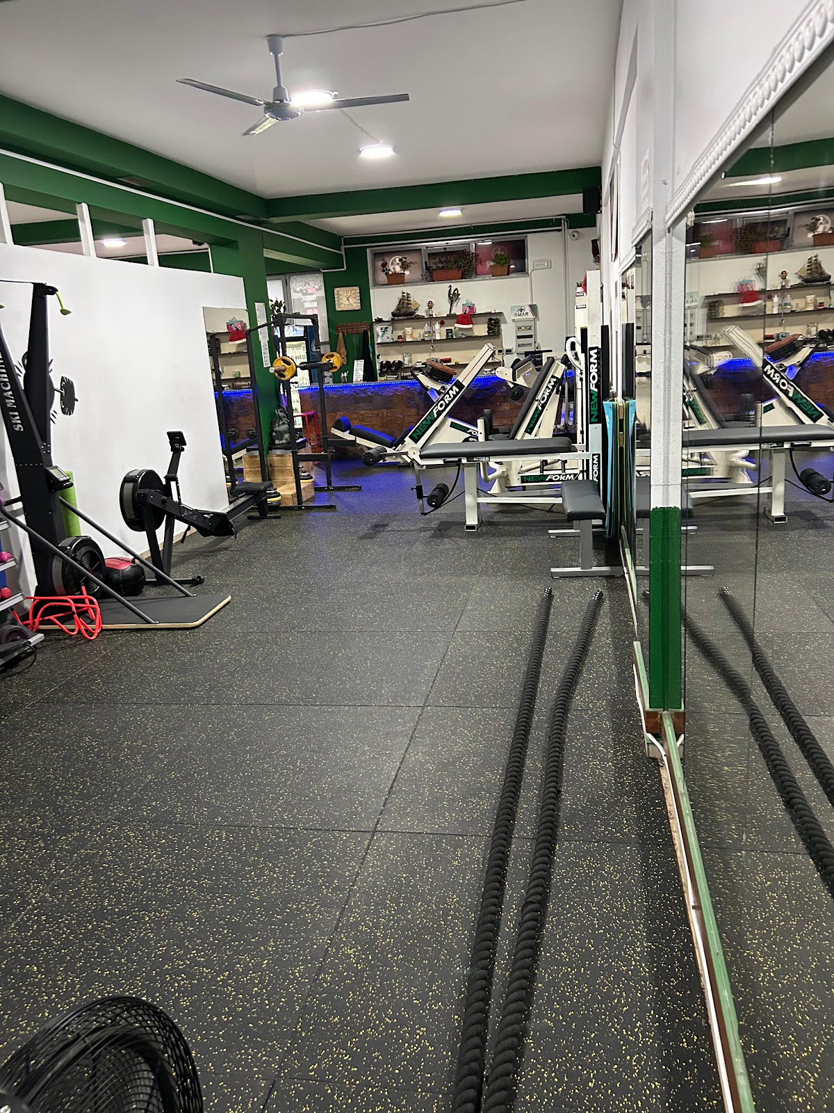 Amar Fitness