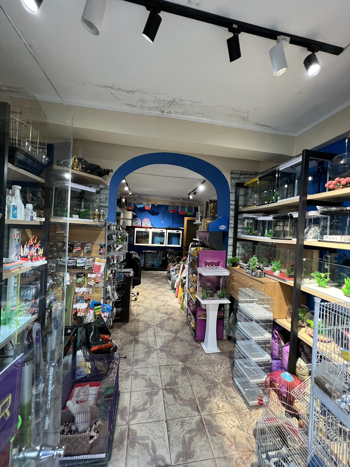 Petshop Enio