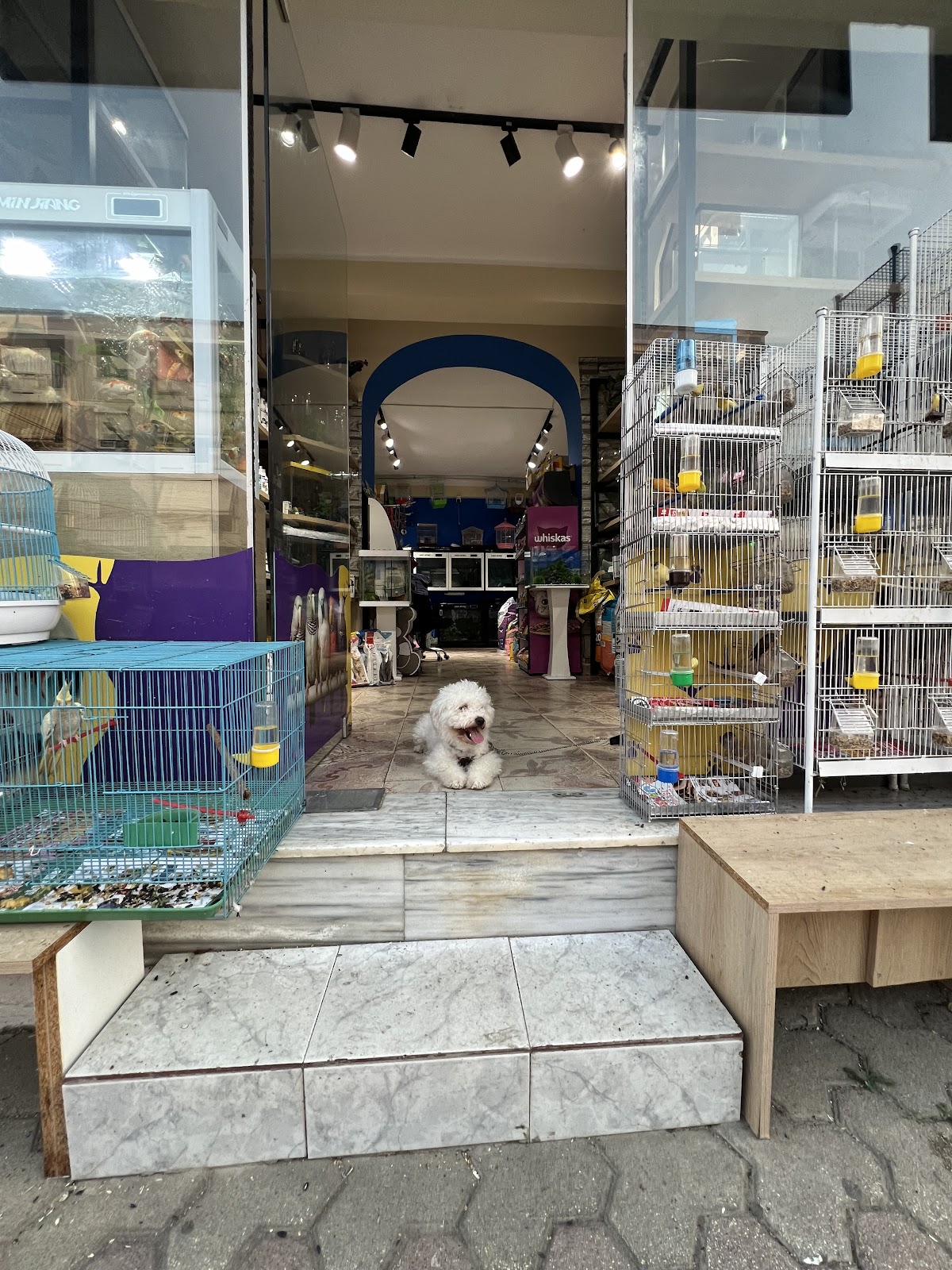 Petshop Enio