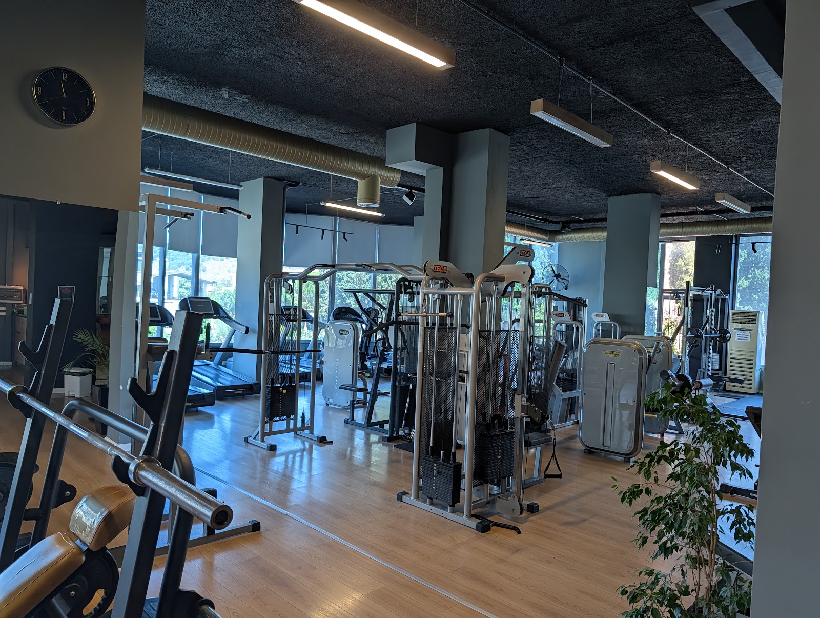 X Gym