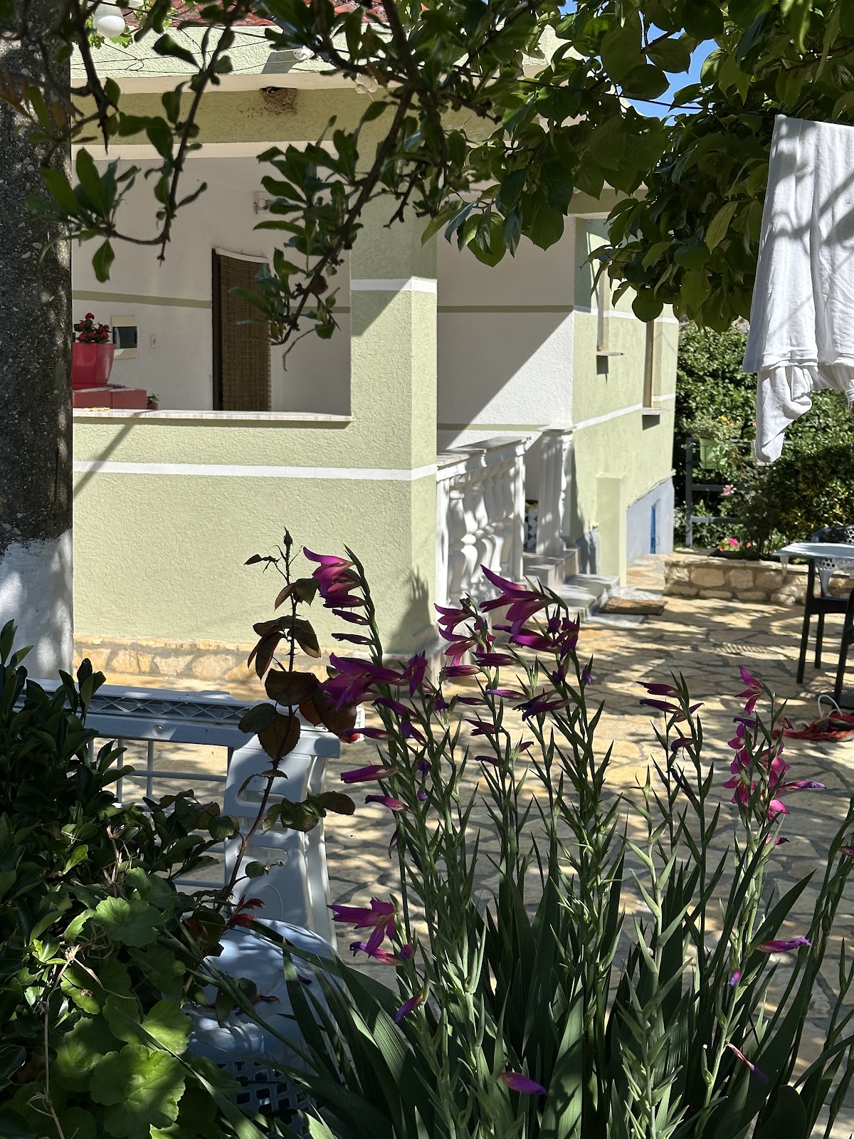Vjosa Guest House