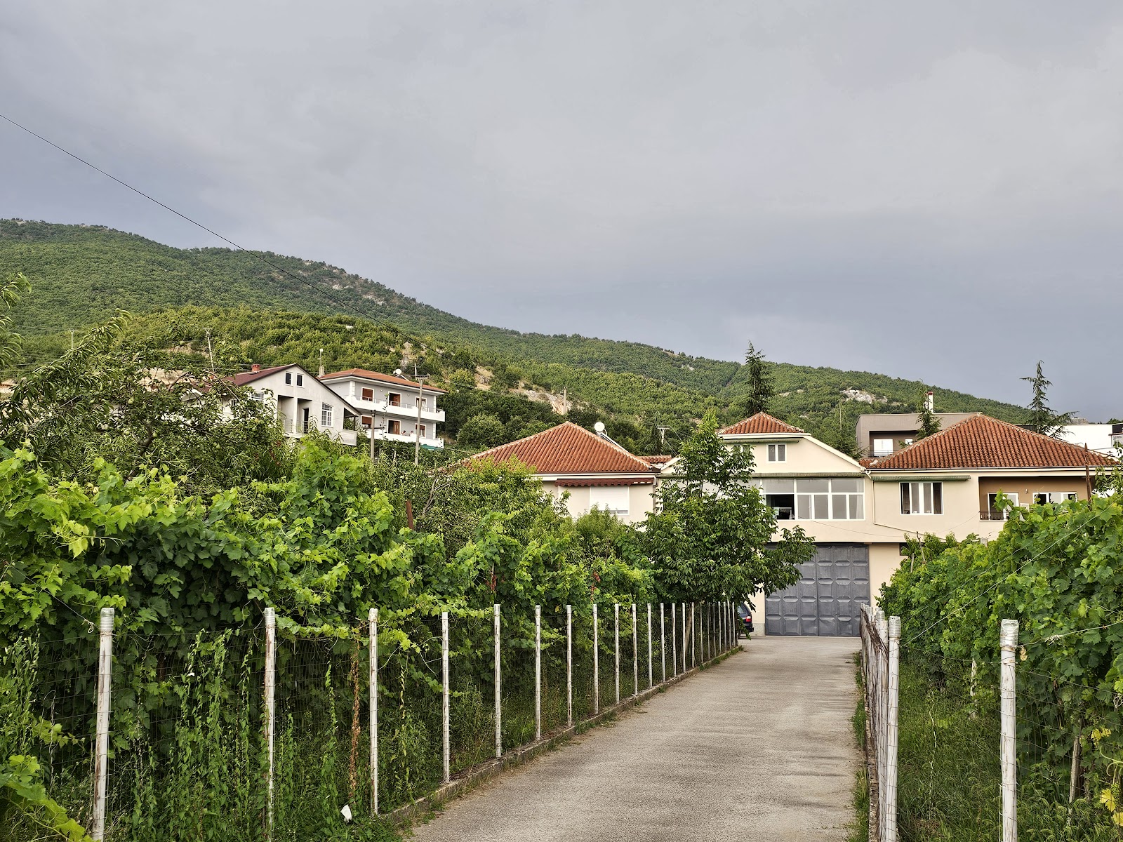 Bujtina Gjyshi Ilo