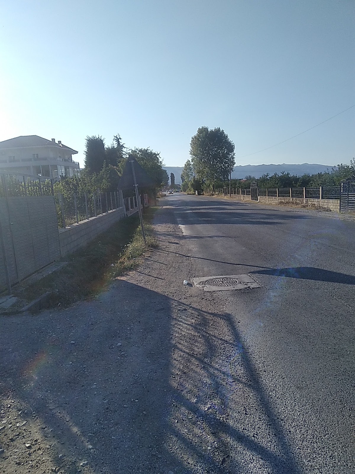 Gomisteri Tili Gështenjas