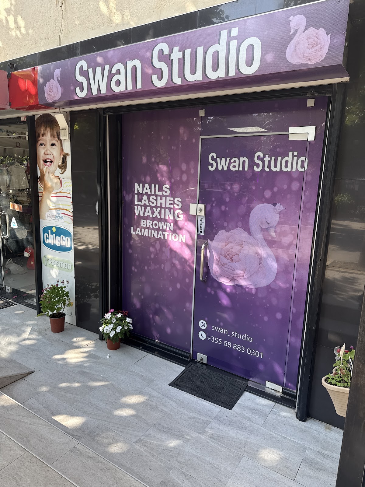 Swan Studio