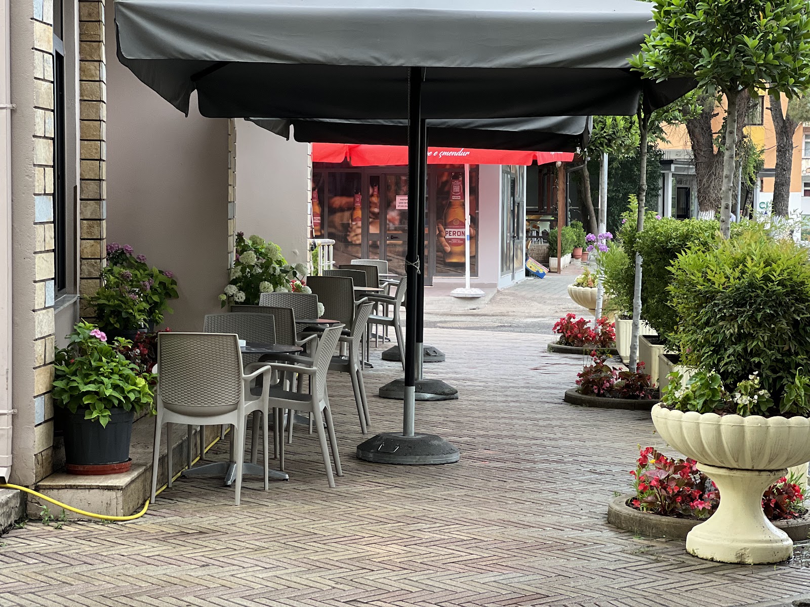 Bar – Café – Pizzeria Olti