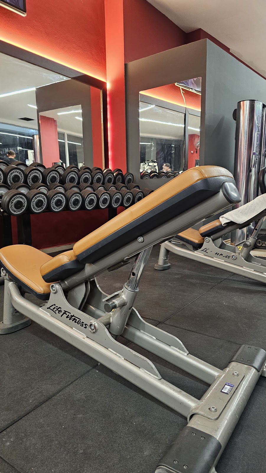 333 fitness center club