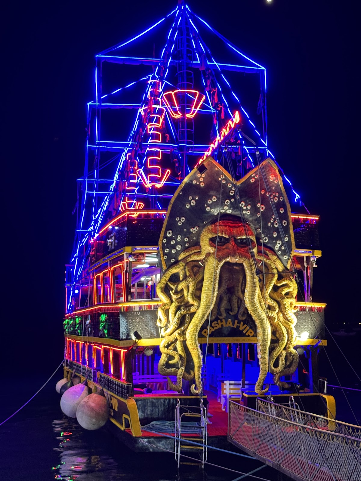 Pashaj Vip Cruise