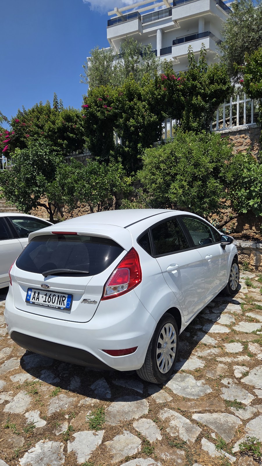 Terini Travel Agency