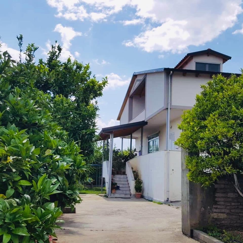 Wooden Guest House