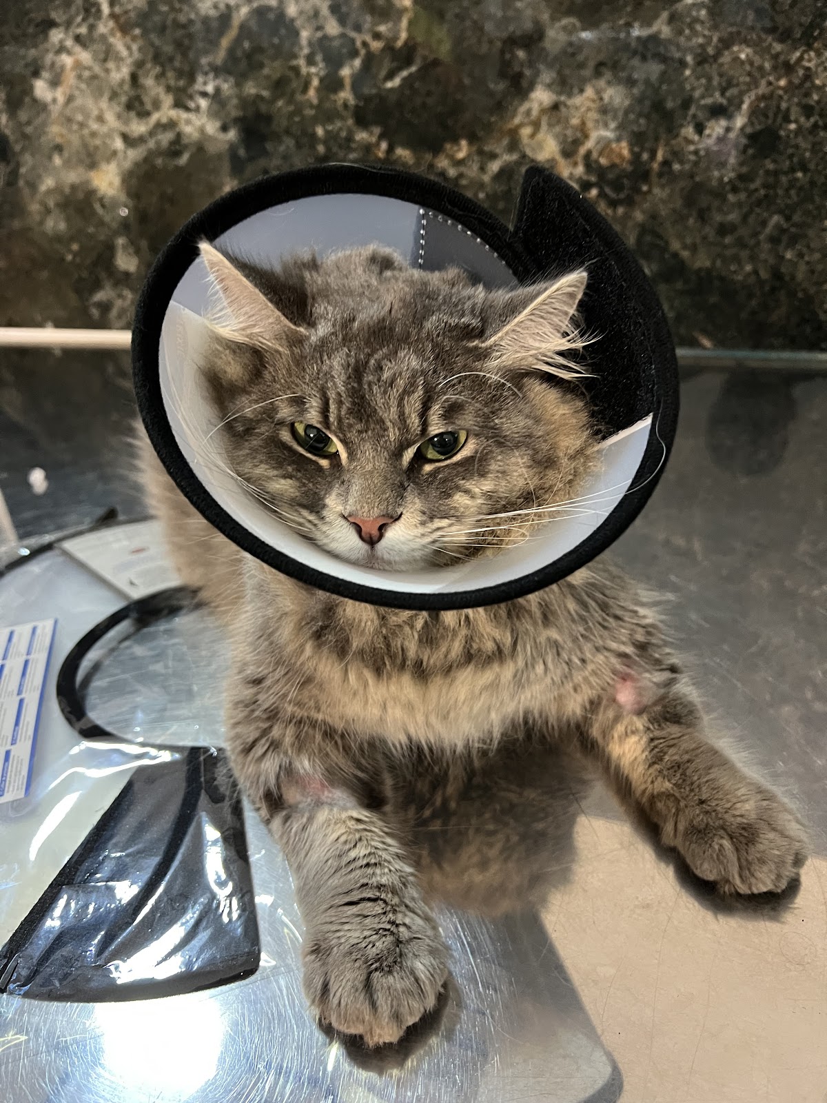 Pet Care Veterinary Clinic Sarande
