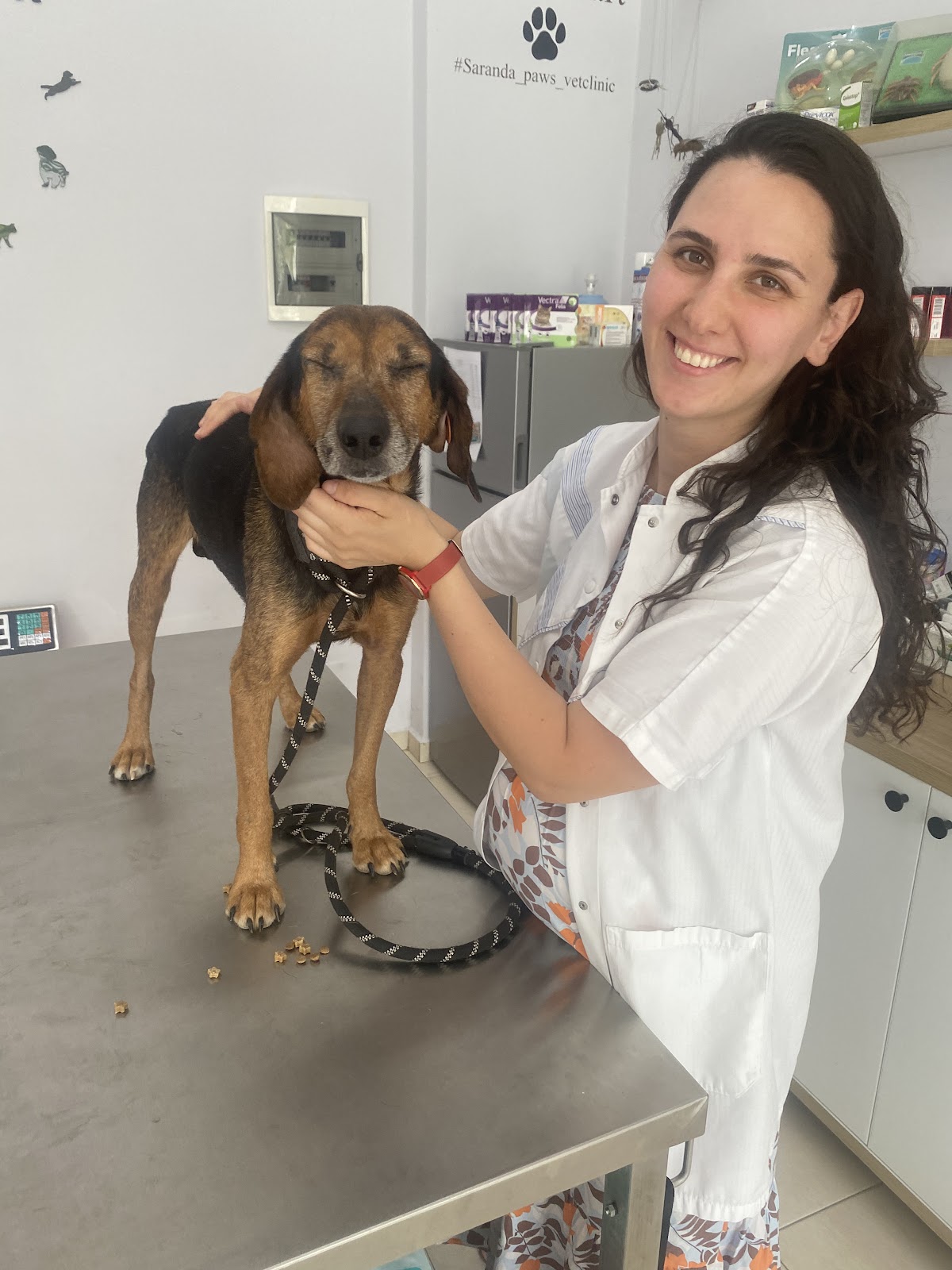 Paws Veterinary Clinic