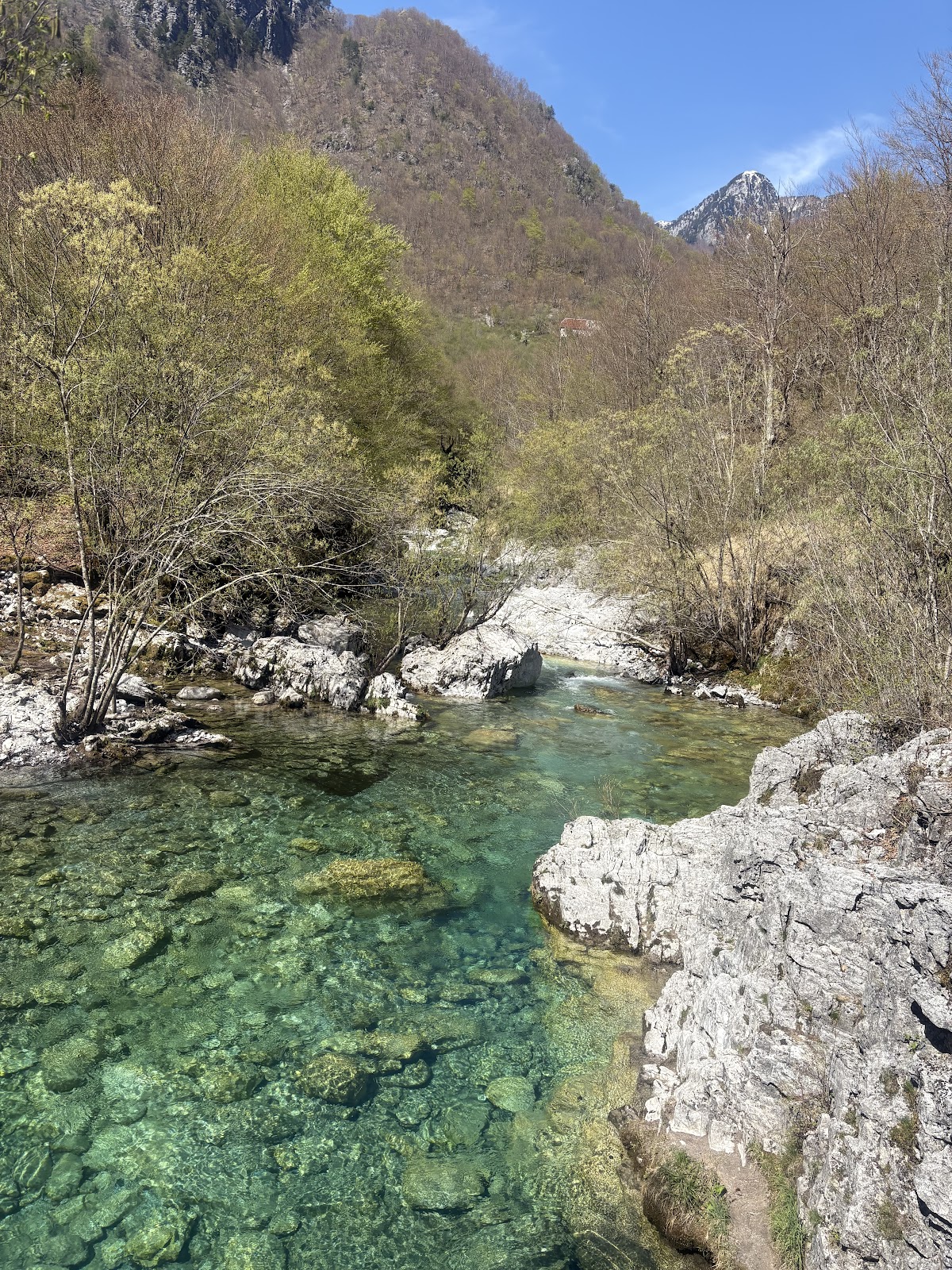 Agency 27 Rent Car Motorcycle Bicycle & Trip-Day&Guide&Transfers&Luggage-Storage&Info-Point in Shkoder