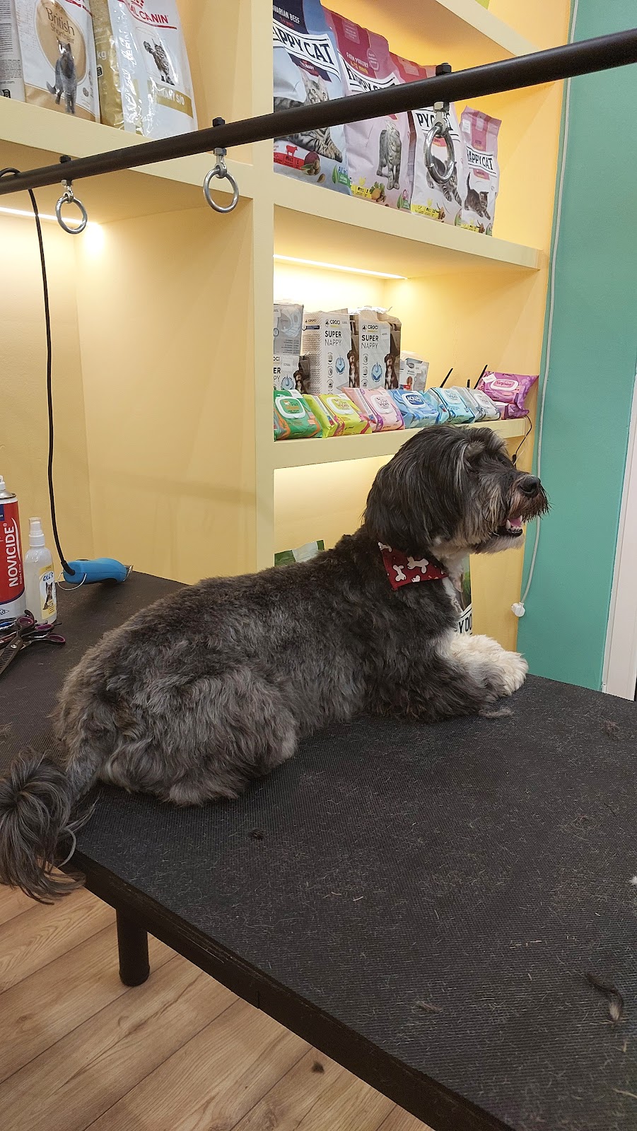 PetSpot