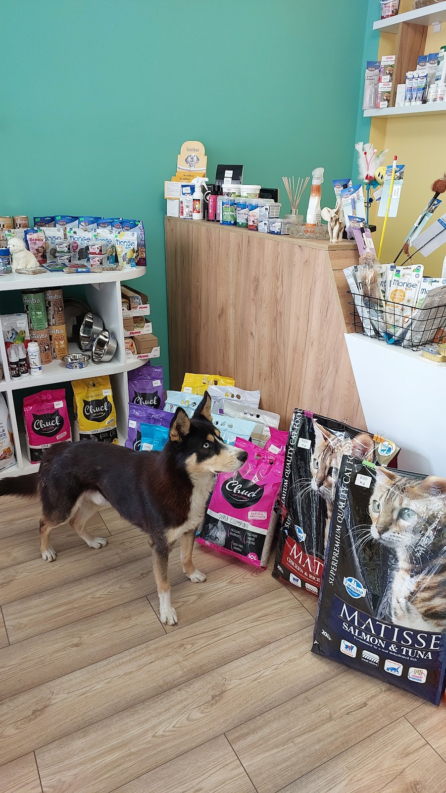 PetSpot