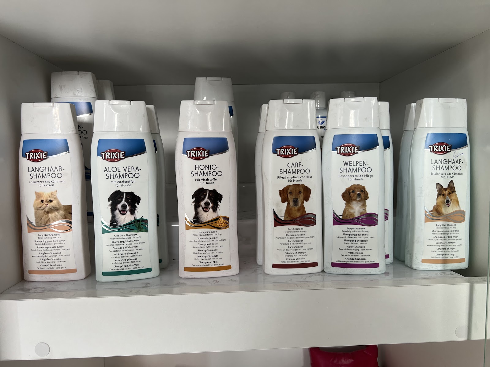 Farmaci & Klinikë Veterinare Ylli