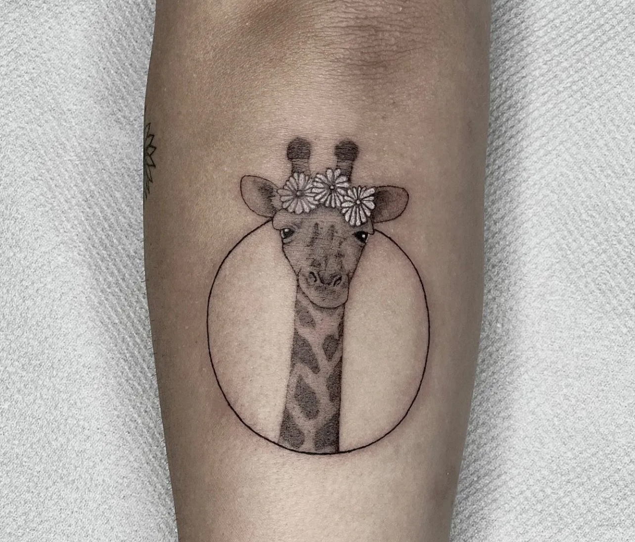 Heavyink Tattoo Shkoder