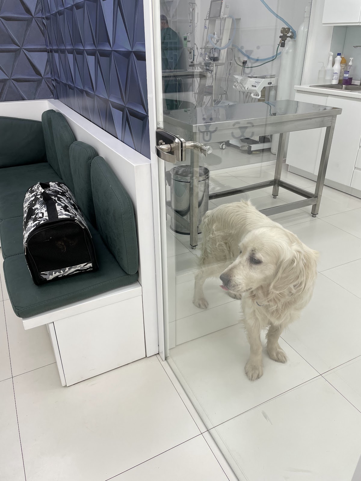 O&B Vet Clinic