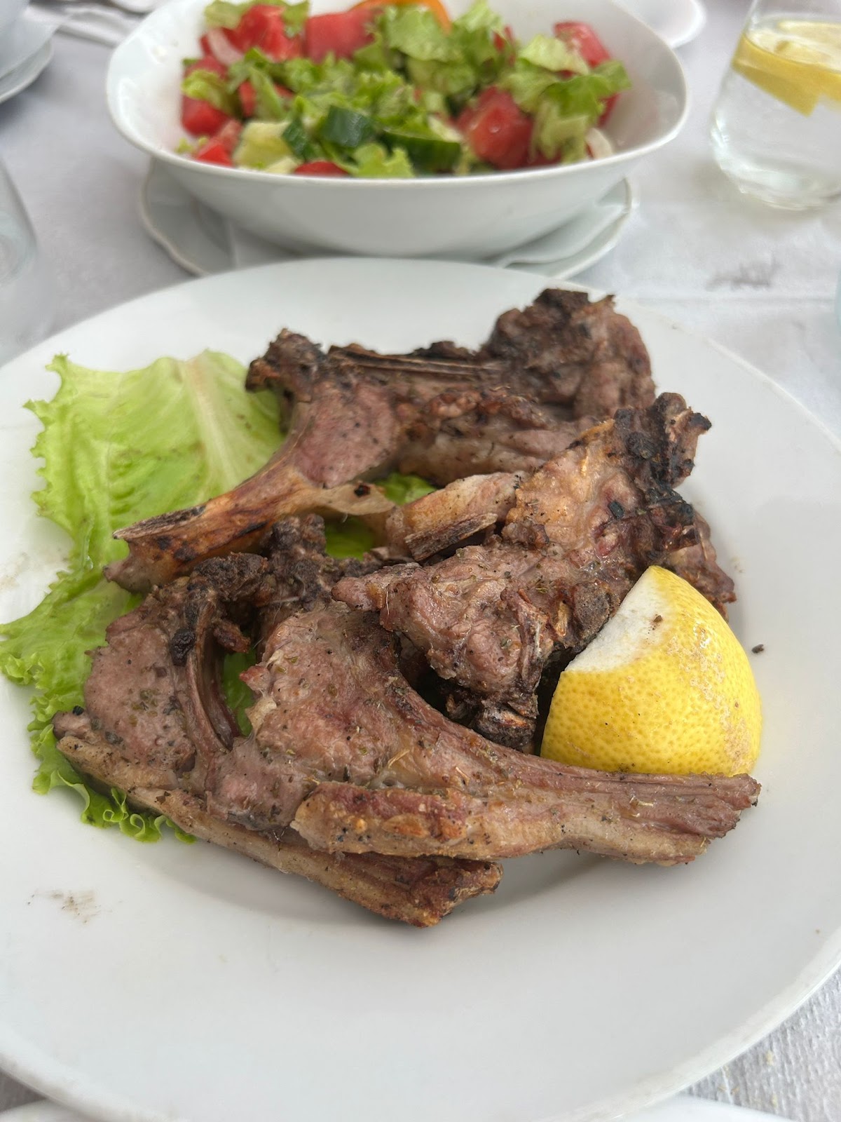 Bar Restorant Shega