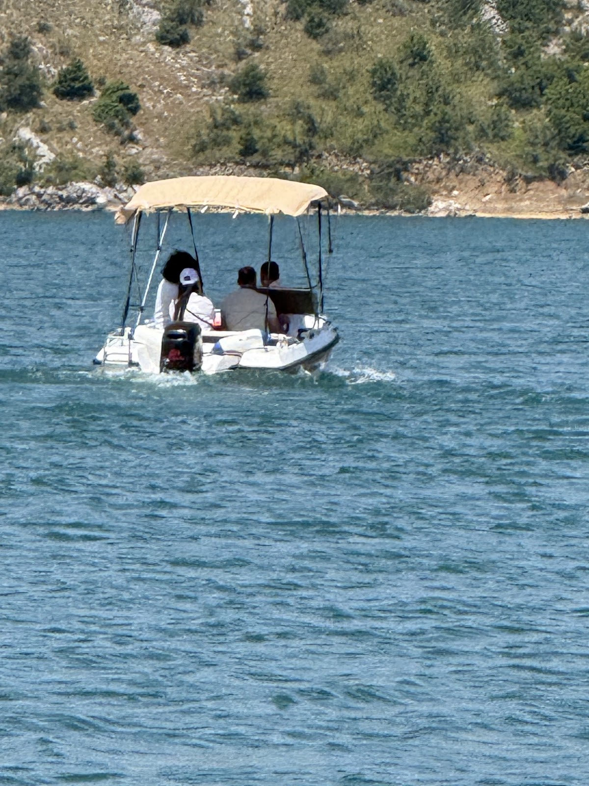 Sidni Boat Tours