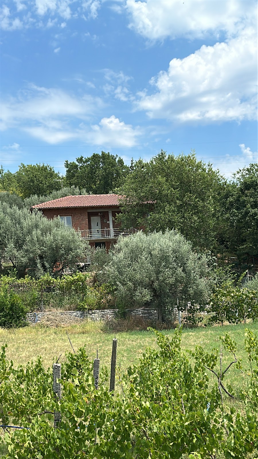 Guest House Keli