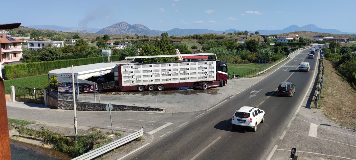 Auto Lavazh Kafe