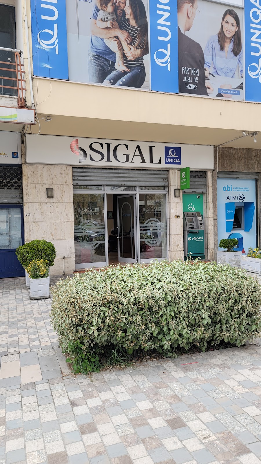 Sigal Insurance Group - Dega Vlore
