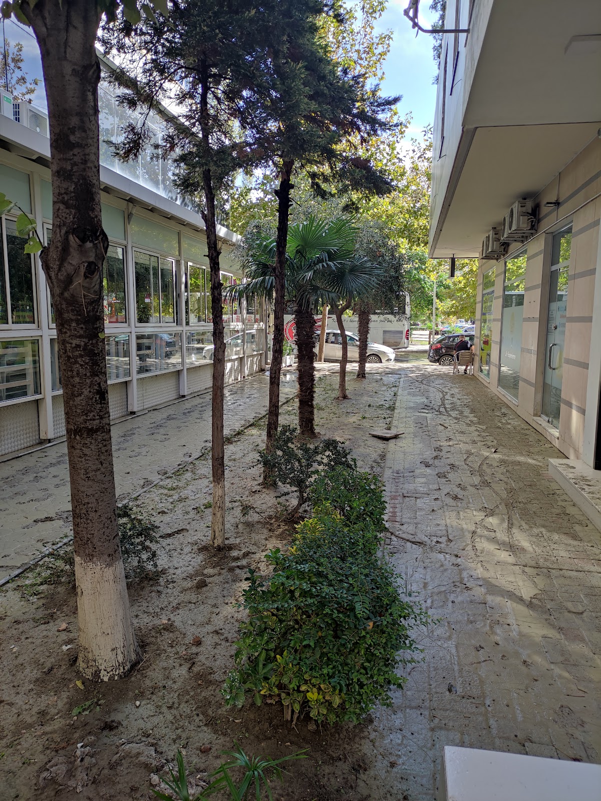 Euro-Ferries Agency Vlorë