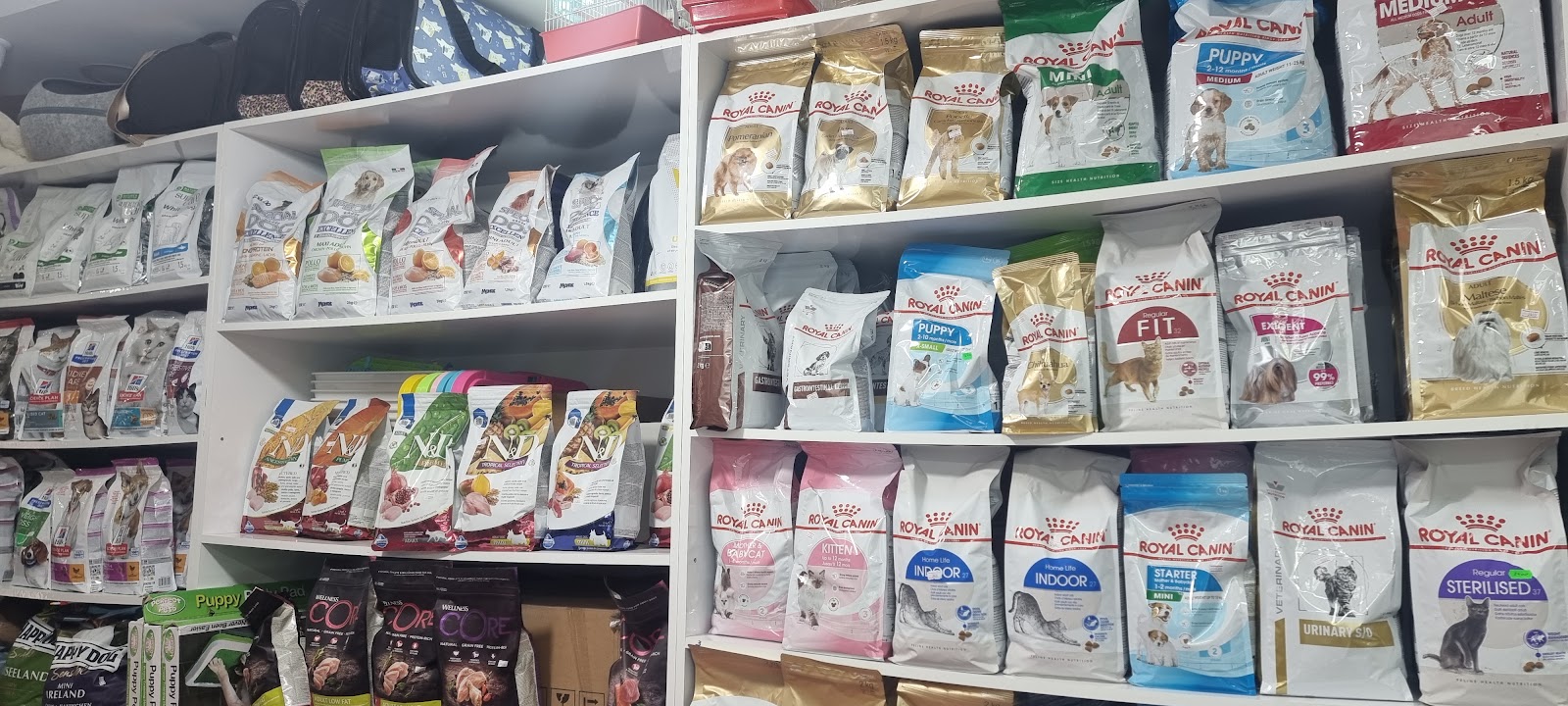 Pet Shop Vlorë