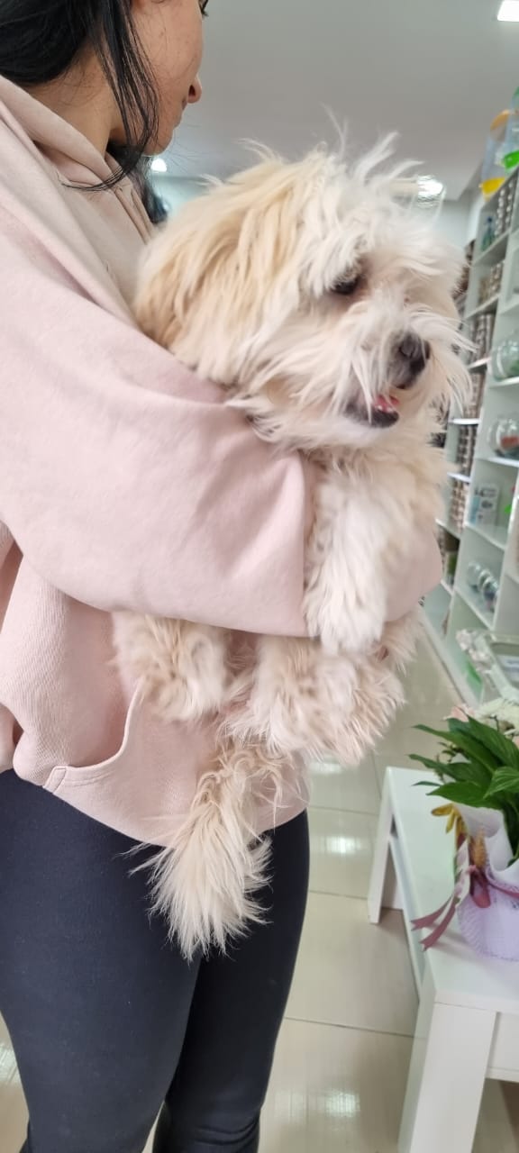 Pet Shop Vlorë