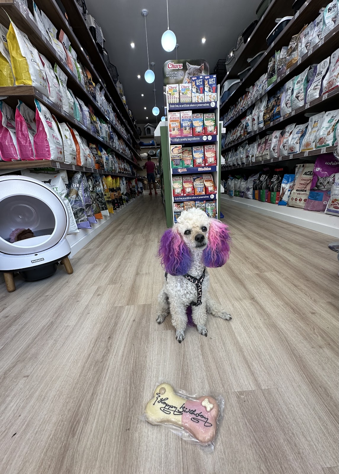 PetVille - Dyqan per kafshe Vlorë | Pet Shop