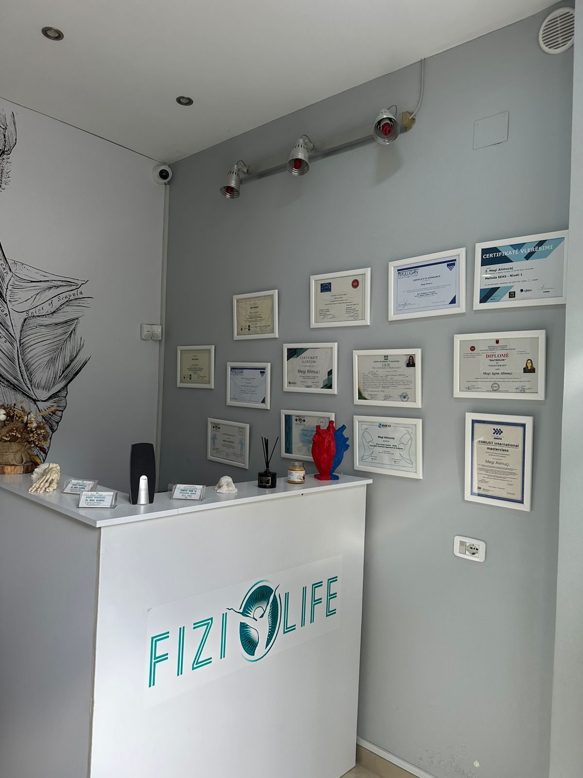 FizioLife - Klinike Fizioterapeutike