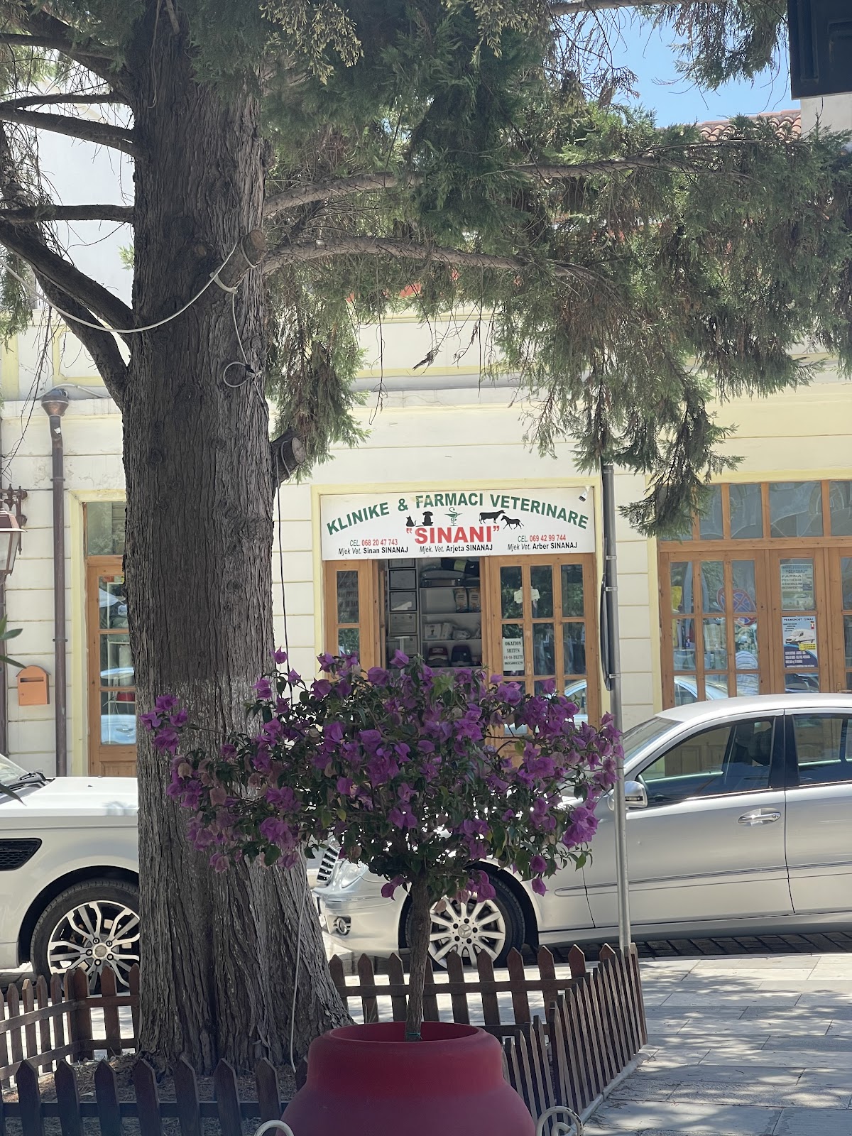Klinika Veterinare "SINANI"