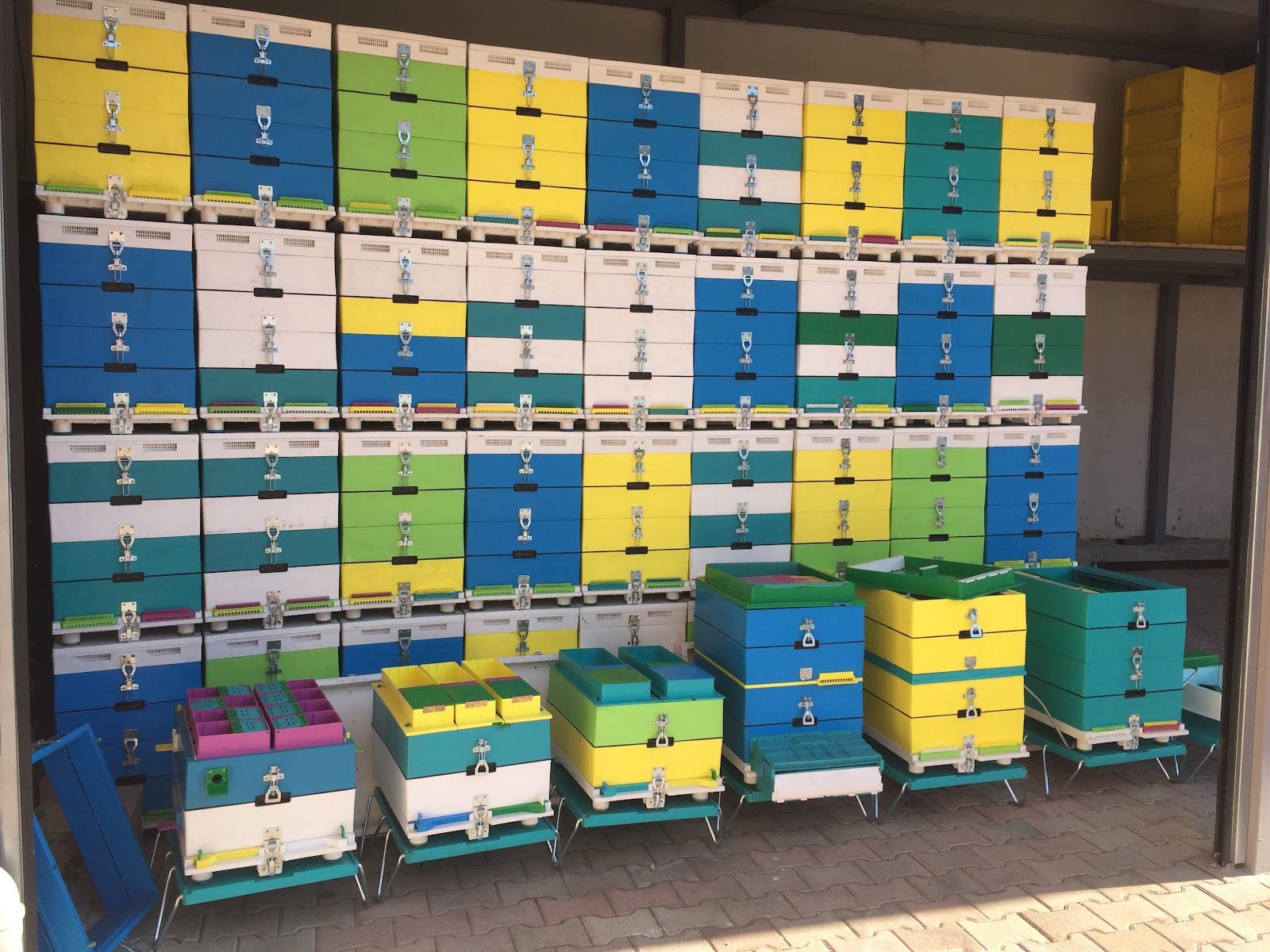 Farmaci Veterinare "Bleta" Vorë