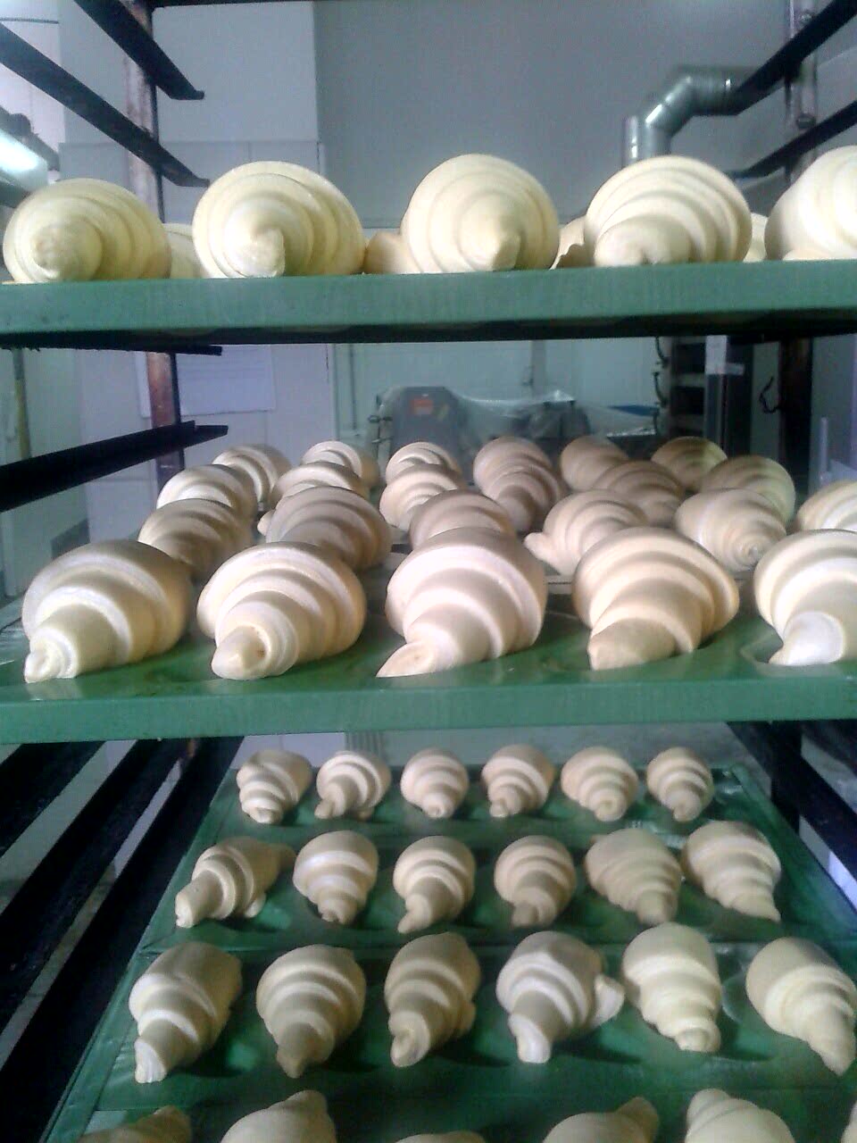 Bakery Erlin