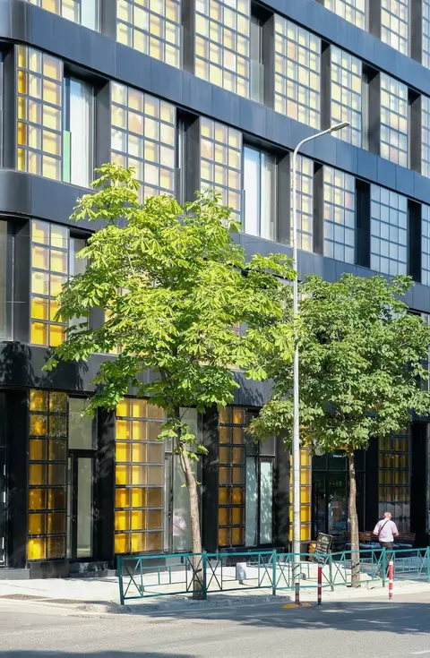 Arkitekt