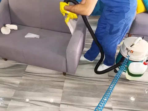 Pastrim Profesional