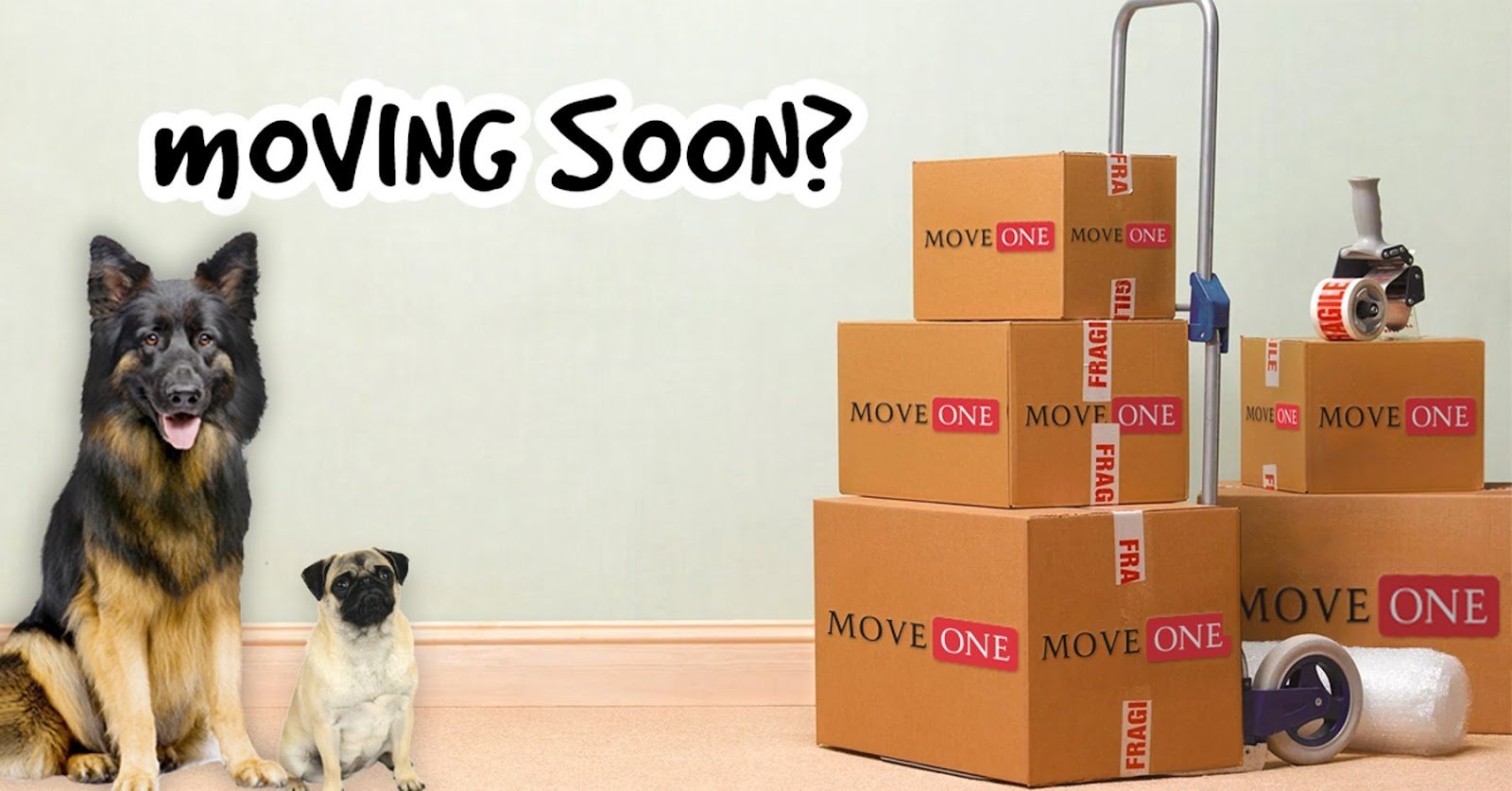 Move One Moving and Storage | Pet Shipping - Albania