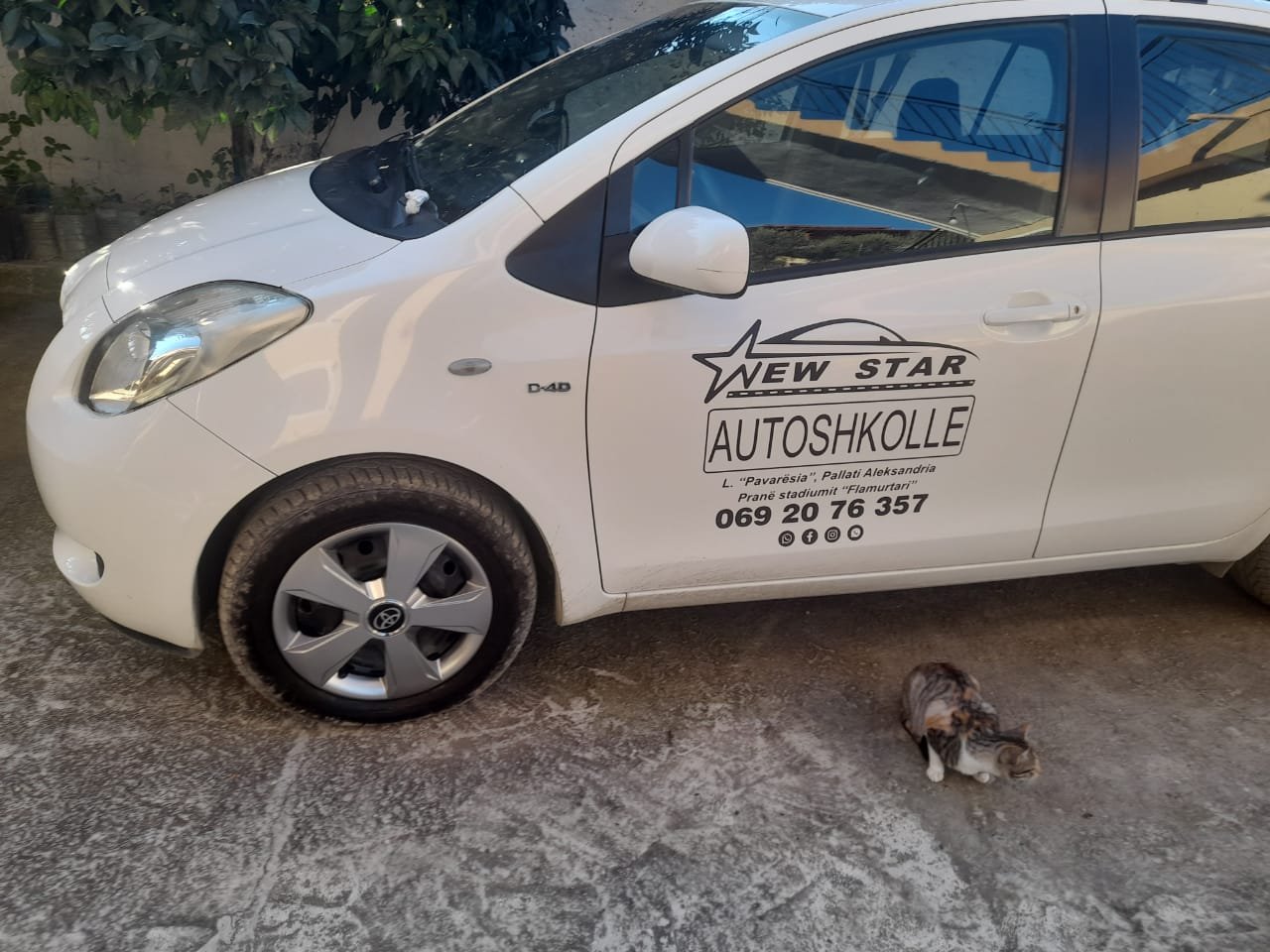 Autoshkolla New Star