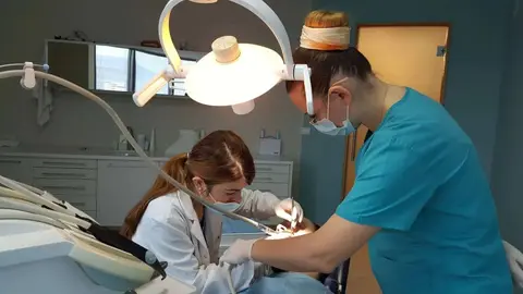 Dentist