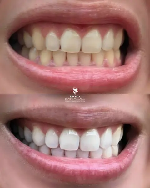 Dentist