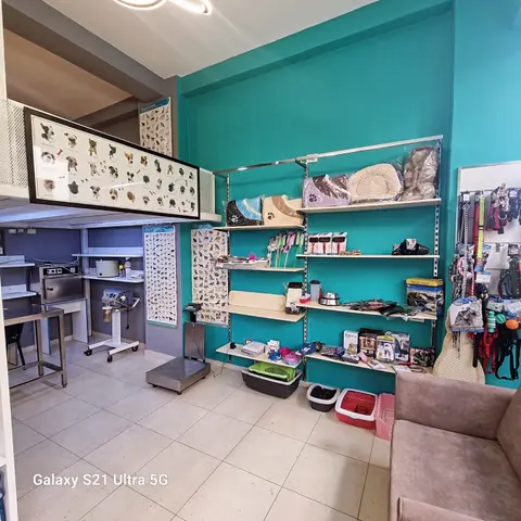 Klinikë Veterinare